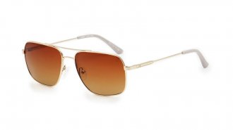 WE 3104 Gold Gradient Pol